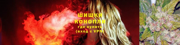 гидра Покров