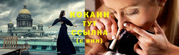 стаф Губаха