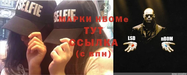 стаф Губаха