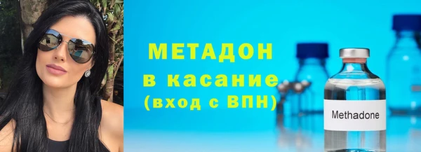 стаф Губаха