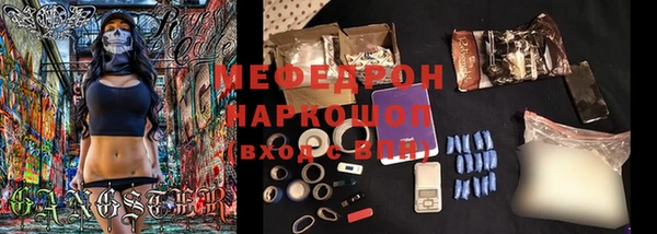 стаф Губаха