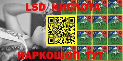 прущие крисы Камышлов
