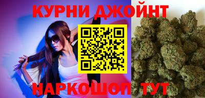 прущие крисы Камышлов