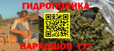 прущие крисы Камышлов